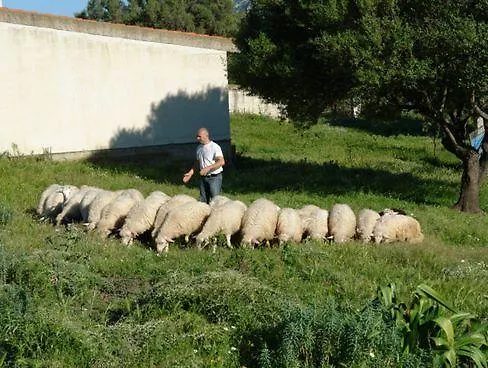 Agriturismo Didone Dorgali Italia