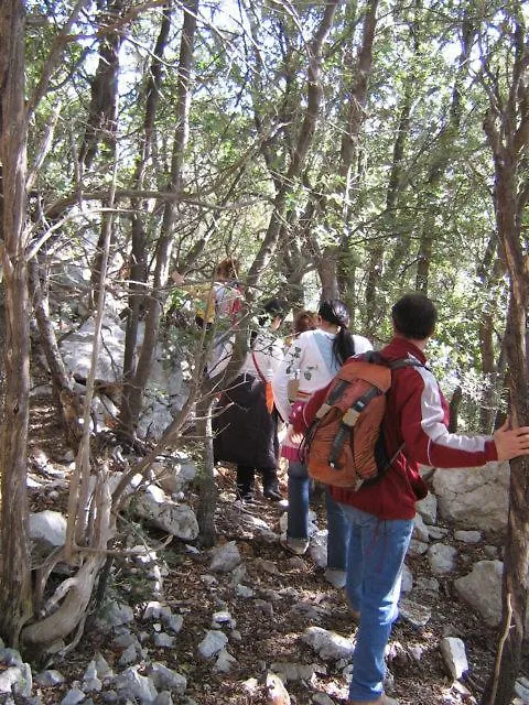 Agriturismo Didone Dorgali Agroturismo