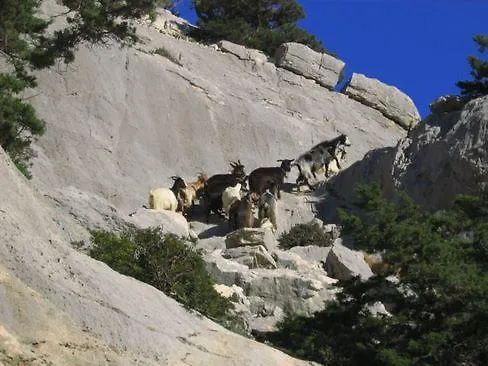 Agriturismo Didone Dorgali Agroturismo